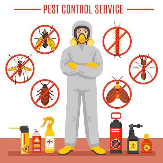Best Pest Treatments